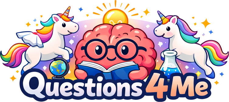 Questions 4 Me!